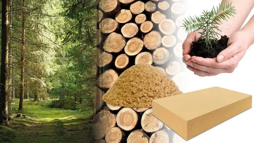csm_Wood_to_board_5c257b1a40